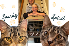 77-78-Spirit-and-Sparky-Adopted-in-2023