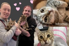 82-83-Emmy-and-Momo-Adopted-in-2023