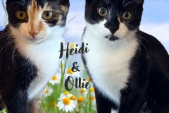 32-Heidi-and-Ollie-AD