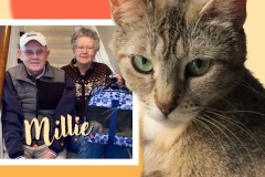 53-Millie-Adopted