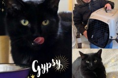 59-Gypsy-Adopted