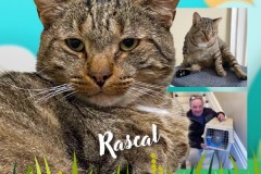 NTCR-Adoptions-2025-10