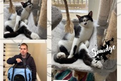 NTCR-Adoptions-2025-12