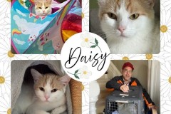 NTCR-Adoptions-2025-13