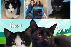 NTCR-Adoptions-2025-14