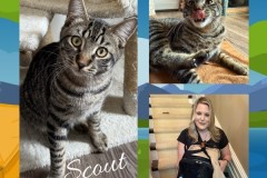 NTCR-Adoptions-2025-15