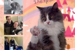 NTCR-Adoptions-2025-17