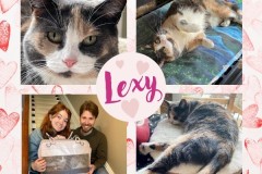 NTCR-Adoptions-2025-18