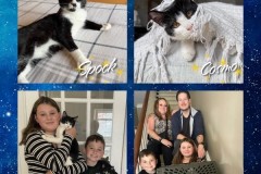 NTCR-Adoptions-2025-2