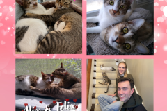 NTCR-Adoptions-2025-2