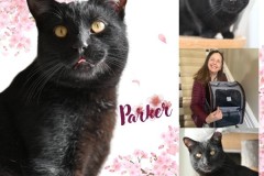 NTCR-Adoptions-2025-21