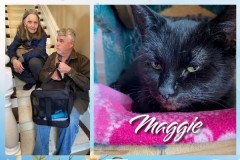 NTCR-Adoptions-2025-22