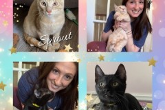 NTCR-Adoptions-2025-24