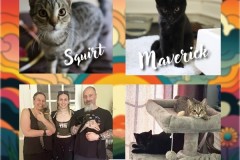 NTCR-Adoptions-2025-26