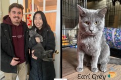 NTCR-Adoptions-2025-28