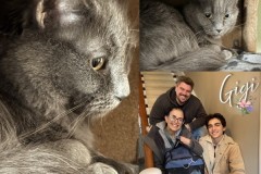 NTCR-Adoptions-2025-29