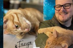 NTCR-Adoptions-2025-3