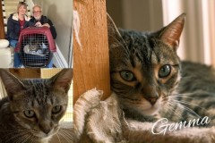 NTCR-Adoptions-2025-30