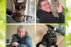 NTCR-Adoptions-2025-33