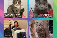 NTCR-Adoptions-2025-34