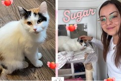 NTCR-Adoptions-2025-35