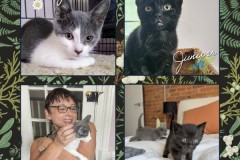 NTCR-Adoptions-2025-36