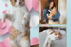 NTCR-Adoptions-2025-37