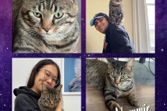 NTCR-Adoptions-2025-38