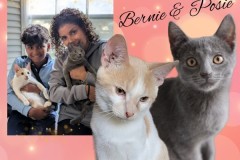 NTCR-Adoptions-2025-39