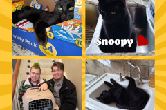 NTCR-Adoptions-2025-4