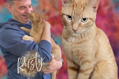 NTCR-Adoptions-2025-40