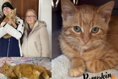 NTCR-Adoptions-2025-41