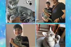 NTCR-Adoptions-2025-42