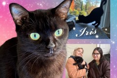 NTCR-Adoptions-2025-44