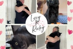 NTCR-Adoptions-2025-45