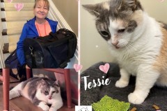 NTCR-Adoptions-2025-46