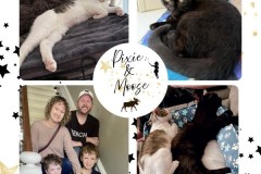 NTCR-Adoptions-2025-50