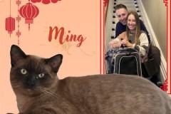 NTCR-Adoptions-2025-7