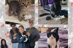 NTCR-Adoptions-2025-8