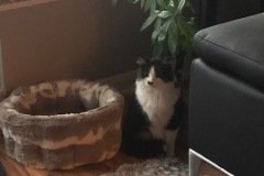 Nyxi-2019-01-09-8