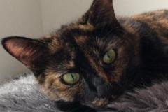 Olivia-aka-Olive-2021-01-01-1