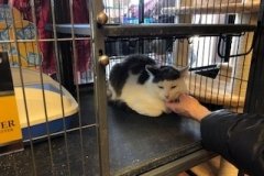 Shy Travis just wants to go home