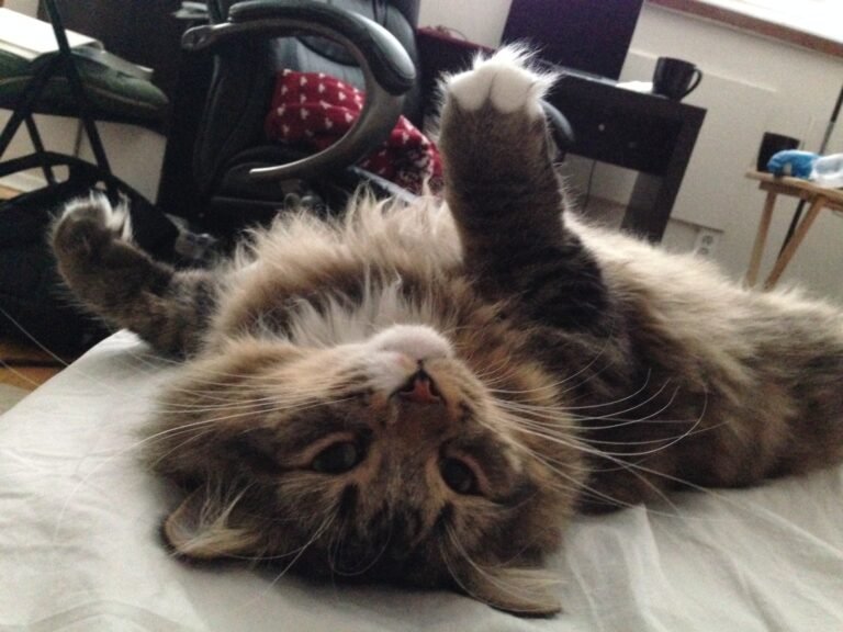 Charlie