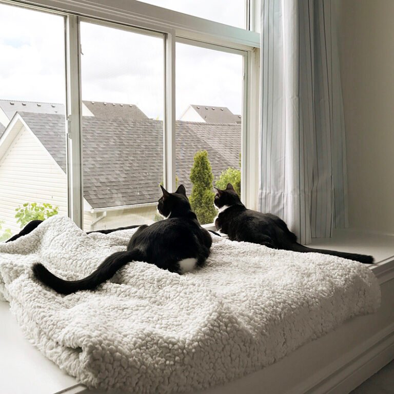 Kate and Pippa