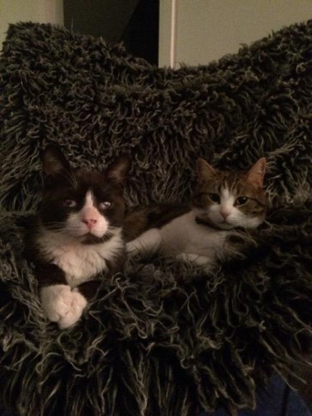 Pedro and his buddy Franci