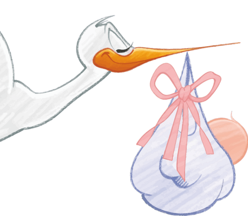 Pregnancy, Toxoplasmosis, and the Proper Precautions