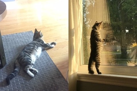 Snickers & Heidi
