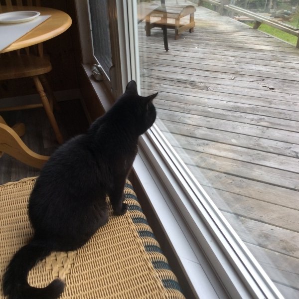 Updates on Hope