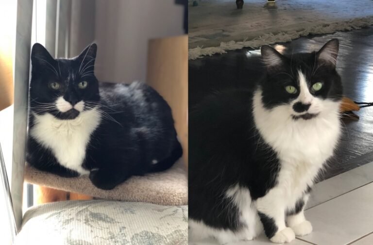 Updates on Martie & Sylvie