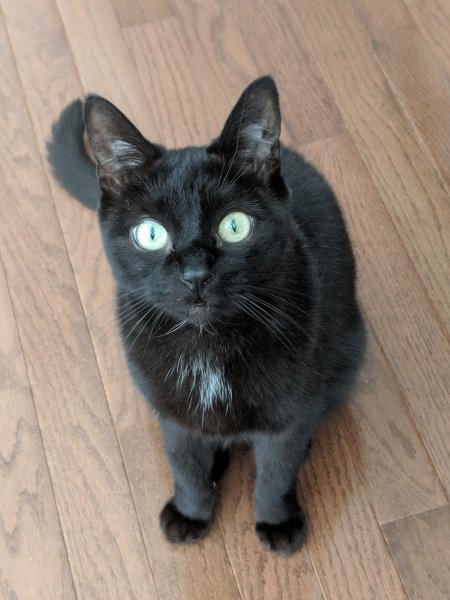 Updates on Clara aka Bianca